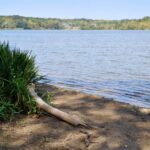 Hiking at Cootes Paradise - shoreline