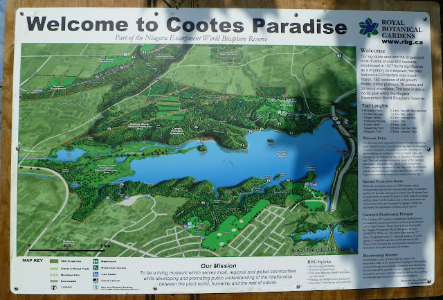 Exploring And Hiking At Cootes Paradise In Hamilton 1