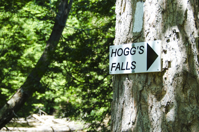 Exploring Hogg's Falls And Hogg's Falls Trail Near Flesherton 1 Hogg's Falls near Flesherton, Ontario