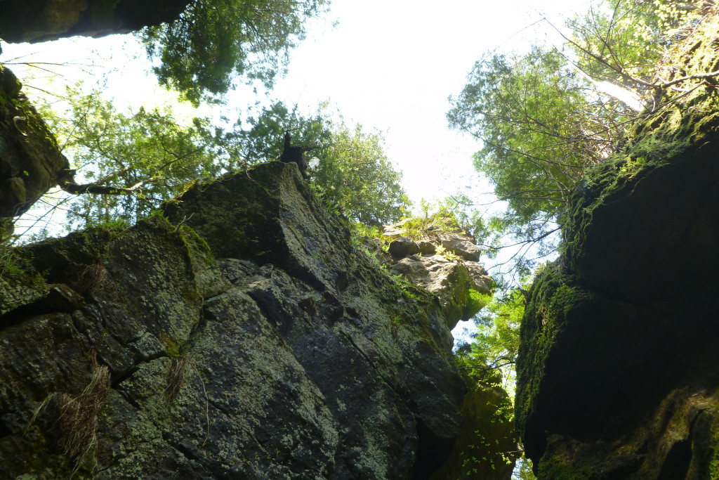 Collingwood Scenic Caves & Nature Preserve