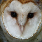 Conservation Halton Parks