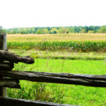 Bronte Creek Provincial Park